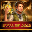Don't Play Book of Dead Mobile App Canada Before Reading This Guide