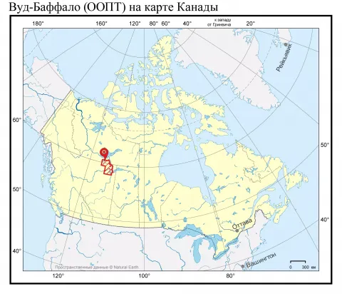 Buffalo Low Deposit Canada: Version Compatibility & Setup Guide for 2026
