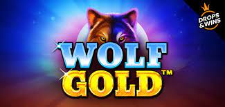 Play Wolf Gold Free Spins USA on Desktop vs Mobile: Compatibility Review