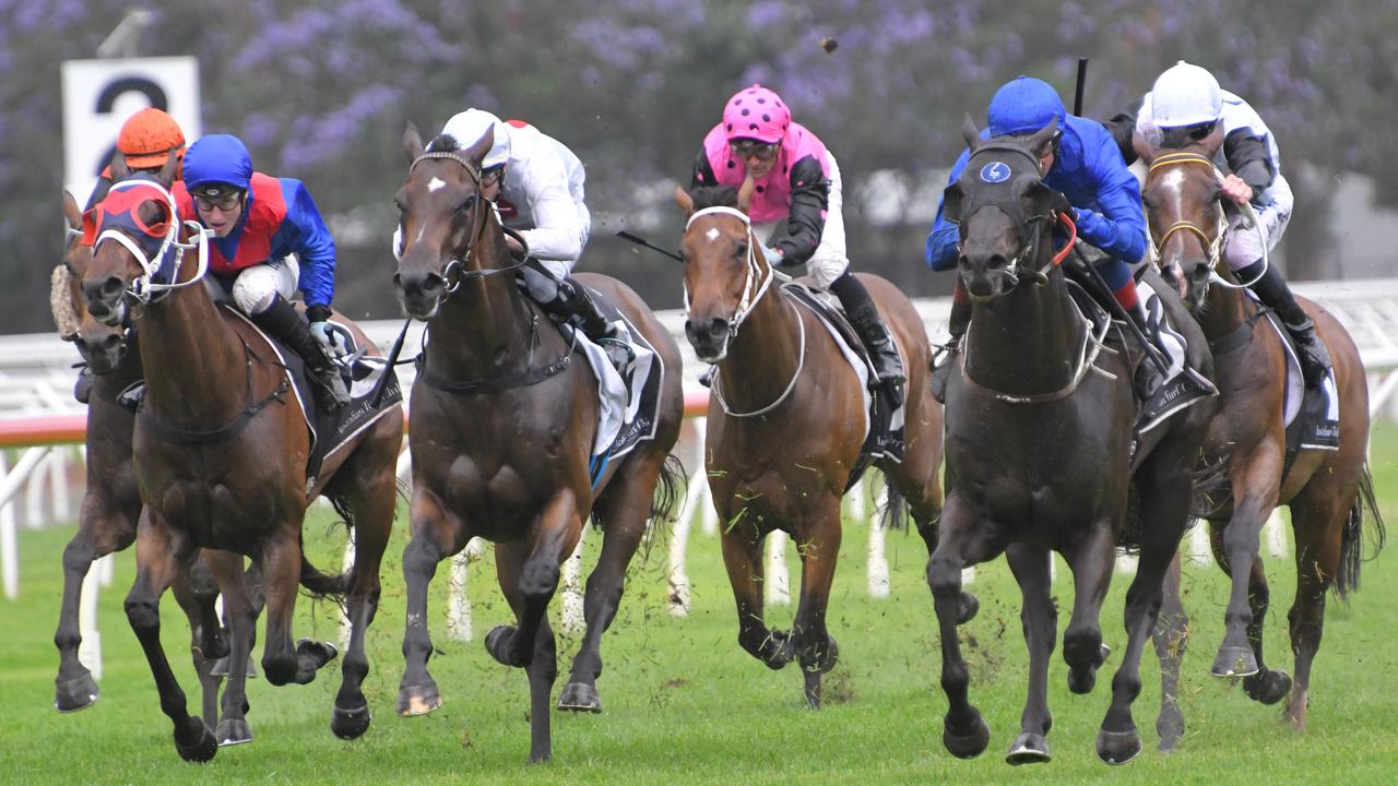 Win Big in Dutching In Australian Horse Racing • Max Win Strategy (x5000) 2026