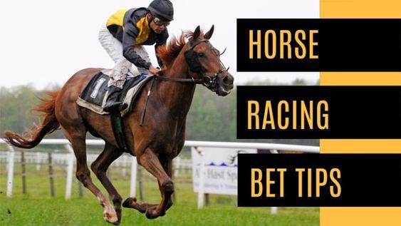 Horse Racing Betting Tips: Learn Strategies to Improve Your Winnings