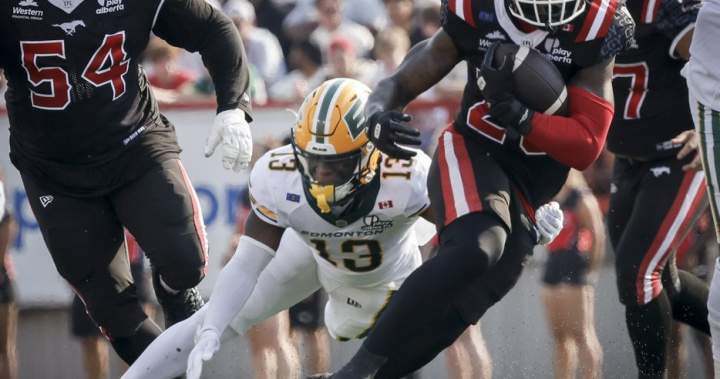 Professional Sports Bettors in the UK: My Experience in 2026