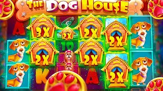 The Dog House Megaways Big Win Strategies to Boost Your 2026 Payouts
