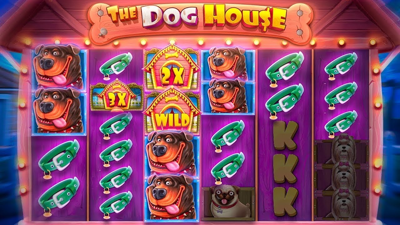 The Dog House Megaways Real Money – Claim Up To $1,000 Today